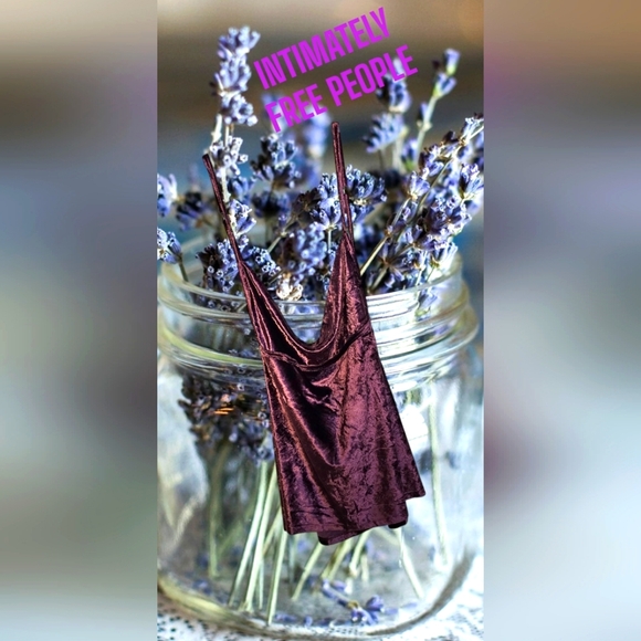 Free People Tops - FREE PEOPLE INTIMATELY ALL NIGHT VELVET CAMI IN FIG Sz MEDIUM NWT